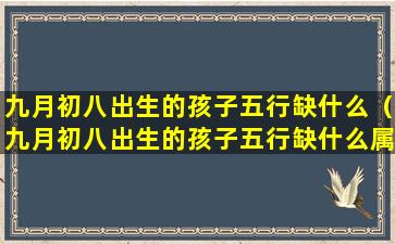 九月初八出生的孩子五行缺什么（九月初八出生的孩子五行缺什么属性）