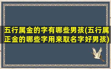 五行属金的字有哪些男孩(五行属正金的哪些字用来取名字好男孩)