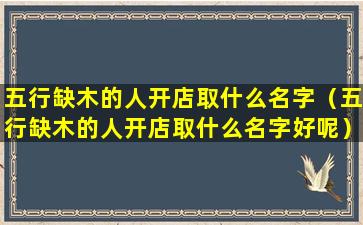 五行缺木的人开店取什么名字（五行缺木的人开店取什么名字好呢）