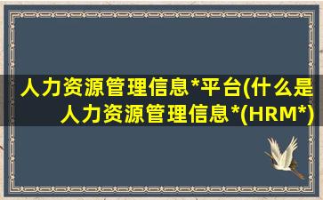 人力资源管理信息*平台(什么是人力资源管理信息*(HRM*))