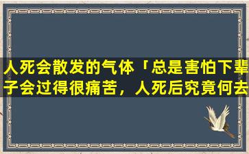 人死会散发的气体「总是害怕下辈子会过得很痛苦，人死后究竟何去何从」