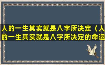 人的一生其实就是八字所决定（人的一生其实就是八字所决定的命运）