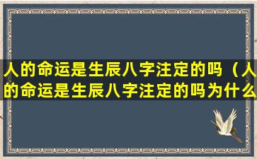 人的命运是生辰八字注定的吗（人的命运是生辰八字注定的吗为什么）