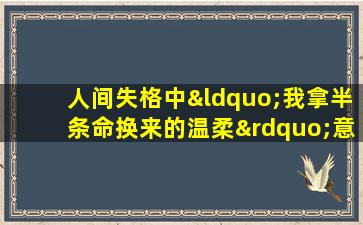 人间失格中“我拿半条命换来的温柔”意味着什么