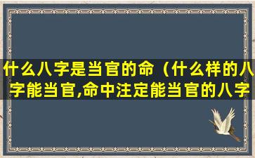 什么八字是当官的命（什么样的八字能当官,命中注定能当官的八字）