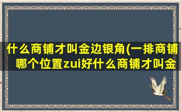 什么商铺才叫金边银角(一排商铺哪个位置zui好什么商铺才叫金边银角)