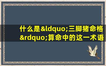 什么是“三脚猪命格”算命中的这一术语有何含义