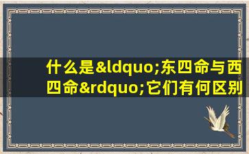 什么是“东四命与西四命”它们有何区别和联系