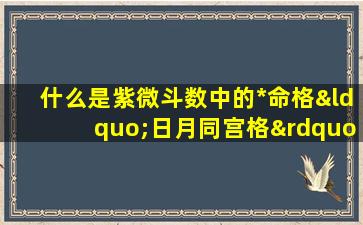 什么是紫微斗数中的*命格“日月同宫格”