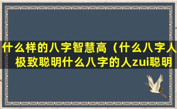 什么样的八字智慧高（什么八字人极致聪明什么八字的人zui聪明）