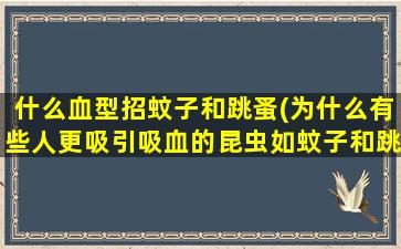 什么血型招蚊子和跳蚤(为什么有些人更吸引吸血的昆虫如蚊子和跳蚤)