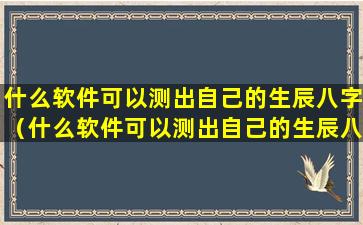 什么软件可以测出自己的生辰八字（什么软件可以测出自己的生辰八字命理）