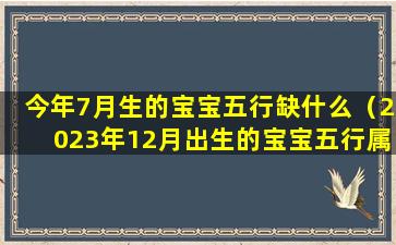 今年7月生的宝宝五行缺什么（2023年12月出生的宝宝五行属什么）