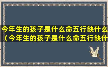 今年生的孩子是什么命五行缺什么（今年生的孩子是什么命五行缺什么2024）