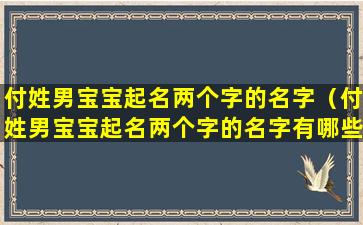 付姓男宝宝起名两个字的名字（付姓男宝宝起名两个字的名字有哪些）