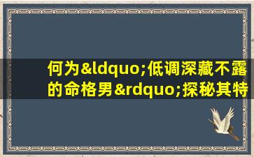 何为“低调深藏不露的命格男”探秘其特质与生活哲学