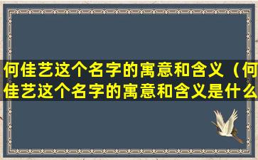 何佳艺这个名字的寓意和含义（何佳艺这个名字的寓意和含义是什么）