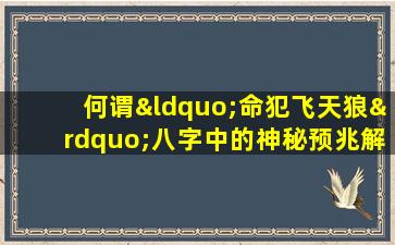 何谓“命犯飞天狼”八字中的神秘预兆解析