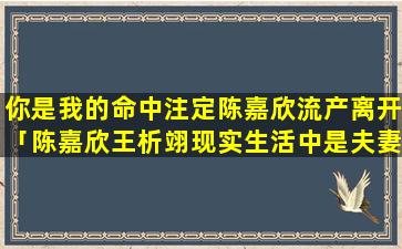 你是我的命中注定陈嘉欣流产离开「陈嘉欣王析翊现实生活中是夫妻吗」