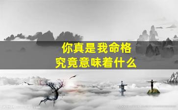 你真是我命格究竟意味着什么