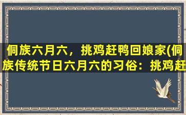 侗族六月六，挑鸡赶鸭回娘家(侗族传统节日六月六的习俗：挑鸡赶鸭回娘家)