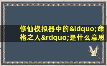 修仙模拟器中的“命格之人”是什么意思