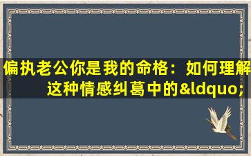 偏执老公你是我的命格：如何理解这种情感纠葛中的“命格”概念