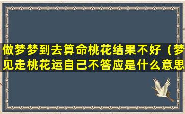 做梦梦到去算命桃花结果不好（梦见走桃花运自己不答应是什么意思）