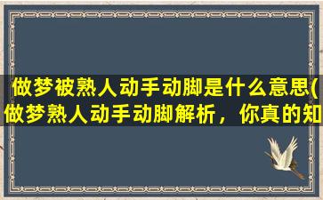 做梦被熟人动手动脚是什么意思(做梦熟人动手动脚解析，你真的知道这意味着什么吗？)