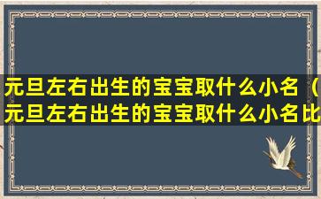 元旦左右出生的宝宝取什么小名（元旦左右出生的宝宝取什么小名比较好）