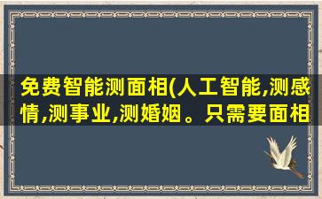 免费智能测面相(人工智能,测感情,测事业,测婚姻。只需要面相即可吗)