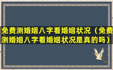 免费测婚姻八字看婚姻状况（免费测婚姻八字看婚姻状况是真的吗）