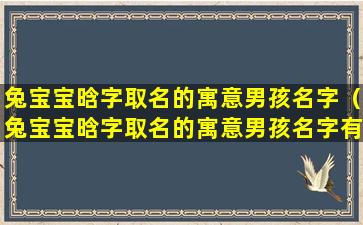 兔宝宝晗字取名的寓意男孩名字（兔宝宝晗字取名的寓意男孩名字有哪些）