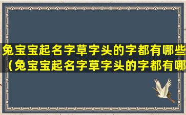 兔宝宝起名字草字头的字都有哪些（兔宝宝起名字草字头的字都有哪些好听）