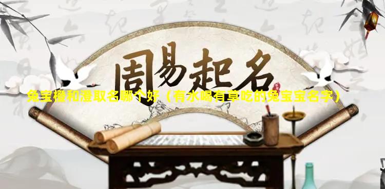 兔宝橙和澄取名哪个好（有水喝有草吃的兔宝宝名字）