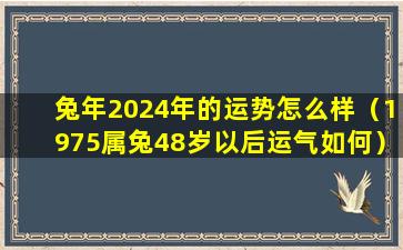 兔年2024年的运势怎么样（1975属兔48岁以后运气如何）