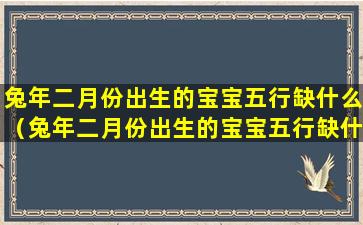 兔年二月份出生的宝宝五行缺什么（兔年二月份出生的宝宝五行缺什么属性）