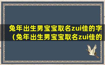 兔年出生男宝宝取名zui佳的字（兔年出生男宝宝取名zui佳的字杜姓）