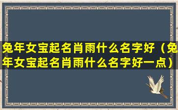 兔年女宝起名肖雨什么名字好（兔年女宝起名肖雨什么名字好一点）