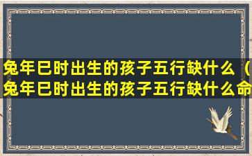 兔年巳时出生的孩子五行缺什么（兔年巳时出生的孩子五行缺什么命格）