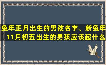 兔年正月出生的男孩名字、新兔年11月初五出生的男孩应该起什么奶名