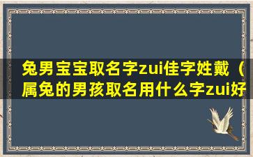 兔男宝宝取名字zui佳字姓戴（属兔的男孩取名用什么字zui好）