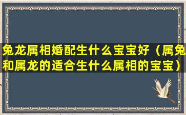 兔龙属相婚配生什么宝宝好（属兔和属龙的适合生什么属相的宝宝）