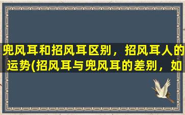 兜风耳和招风耳区别，招风耳人的运势(招风耳与兜风耳的差别，如何利用招风耳人的优势提升运势？)