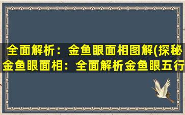 全面解析：金鱼眼面相图解(探秘金鱼眼面相：全面解析金鱼眼五行特征及命运预测)