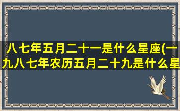 八七年五月二十一是什么星座(一九八七年农历五月二十九是什么星座)