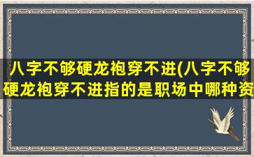 八字不够硬龙袍穿不进(八字不够硬龙袍穿不进指的是职场中哪种资源类型)