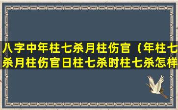 八字中年柱七杀月柱伤官（年柱七杀月柱伤官日柱七杀时柱七杀怎样命运啊）