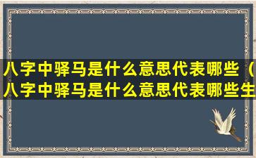 八字中驿马是什么意思代表哪些（八字中驿马是什么意思代表哪些生肖）