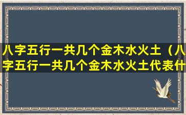 八字五行一共几个金木水火土（八字五行一共几个金木水火土代表什么）